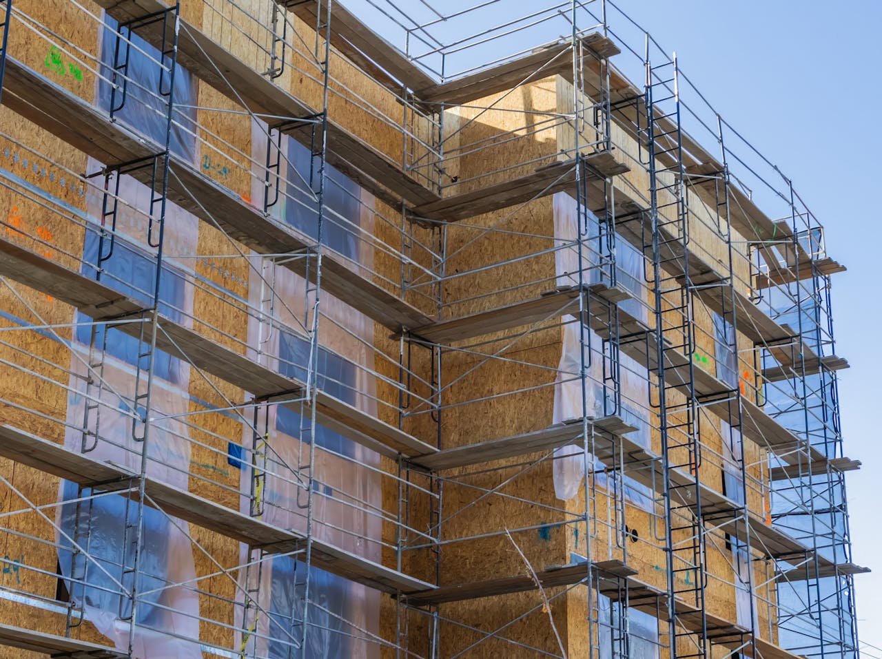 pexels photo 18468463.jpeg